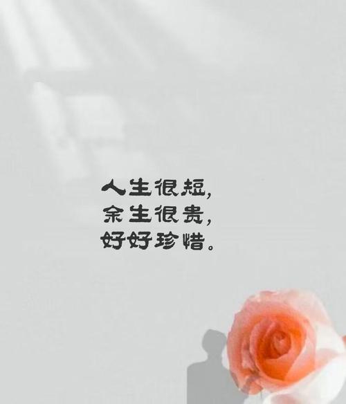 蕴含哲理生活随心的句子：人生，不过如此，且行且珍惜  第1张