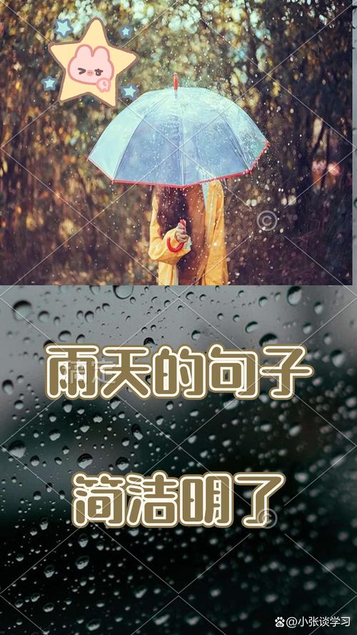 适合下雨天发朋友圈的心情说说,很潮很流行 第1张 适合下雨天发朋友圈的心情说说,很潮很流行 第1张