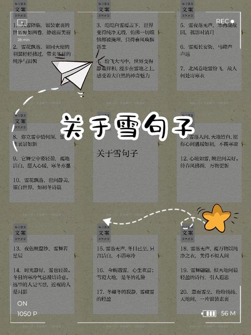 60个适合配唯美雪景的句子  第1张
