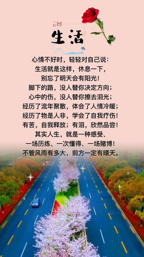 感慨生活的一句话,精辟透彻,早看早受益 第1张 感慨生活的一句话,精辟透彻,早看早受益 第1张