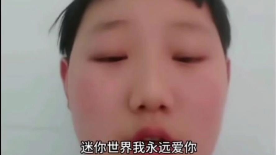 我的世界，你来过，我爱过，也哭过，笑过，最后只能一笑而过  第1张