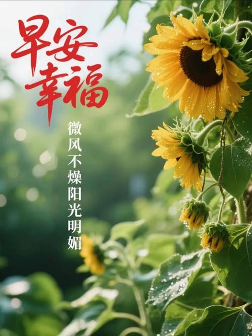 从晨曦到未来,拥抱阳光与希望,愿阳光相伴,愿你伟大 第1张 从晨曦到未来,拥抱阳光与希望,愿阳光相伴,愿你伟大 第1张