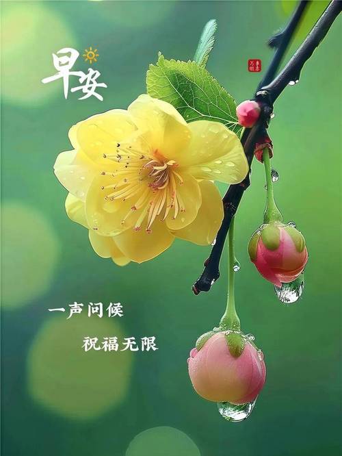 早上好！适合发朋友圈的早安短句，一句比一句戳心，读了好几遍  第1张
