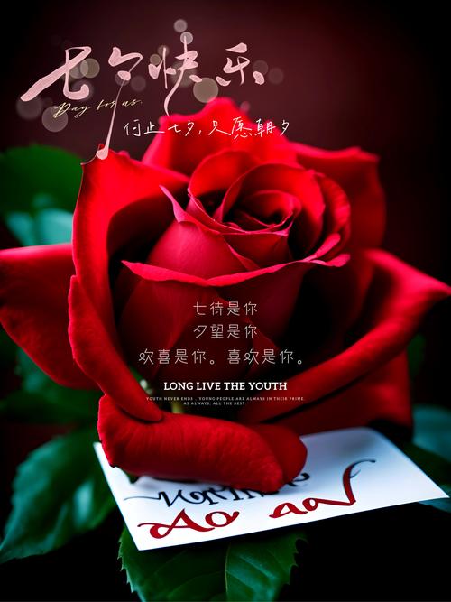 2020年七夕适合情侣发朋友圈告白文案 情侣互动文案句子 第1张 2020年七夕适合情侣发朋友圈告白文案 情侣互动文案句子 第1张