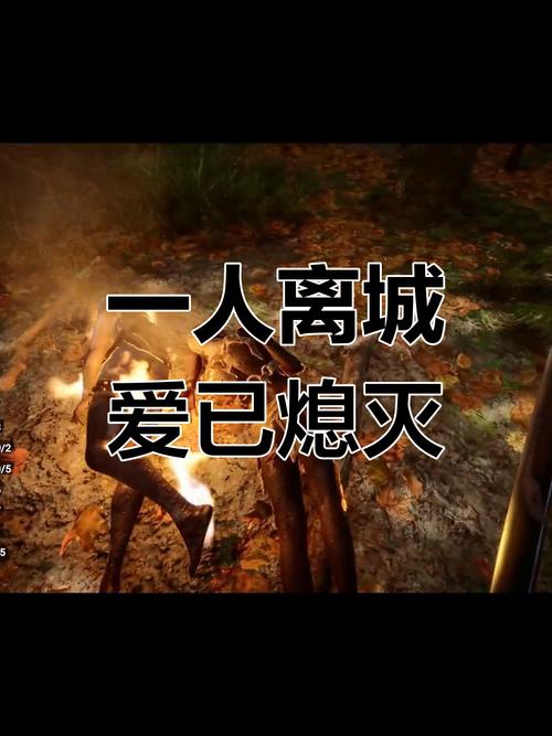 爱如烈火,终成灰烬:我的放下之旅 第1张 爱如烈火,终成灰烬:我的放下之旅 第1张
