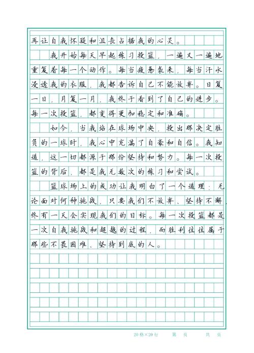 关于篮球、青春和梦想的散文诗 第1张 关于篮球、青春和梦想的散文诗 第1张