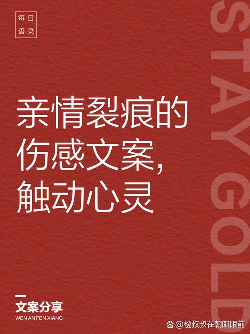 亲情文案——我用一生跟你告别，你却在用一生跟我说路上小心  第1张