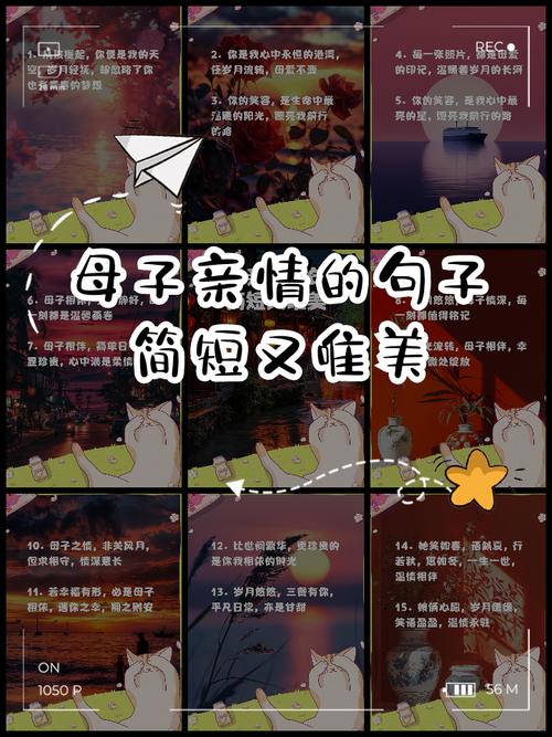 催人泪下的亲情语录，最平凡也最打动人心  第1张