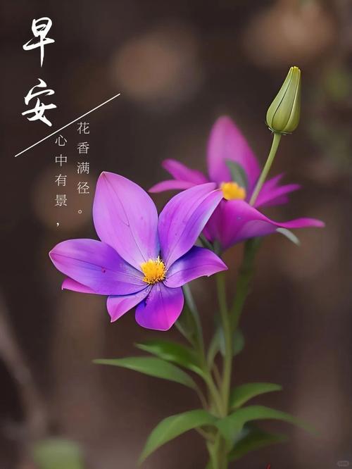 蓝天白云鲜花，唯美励志心情短句精选  第1张