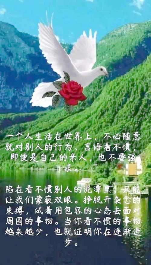 “值得一看的经典人生感悟句子,富有哲理” 第1张 “值得一看的经典人生感悟句子,富有哲理” 第1张