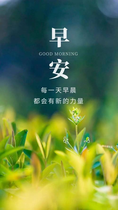 早安正能量优秀语录句子,简短励志,值得一看 第1张 早安正能量优秀语录句子,简短励志,值得一看 第1张