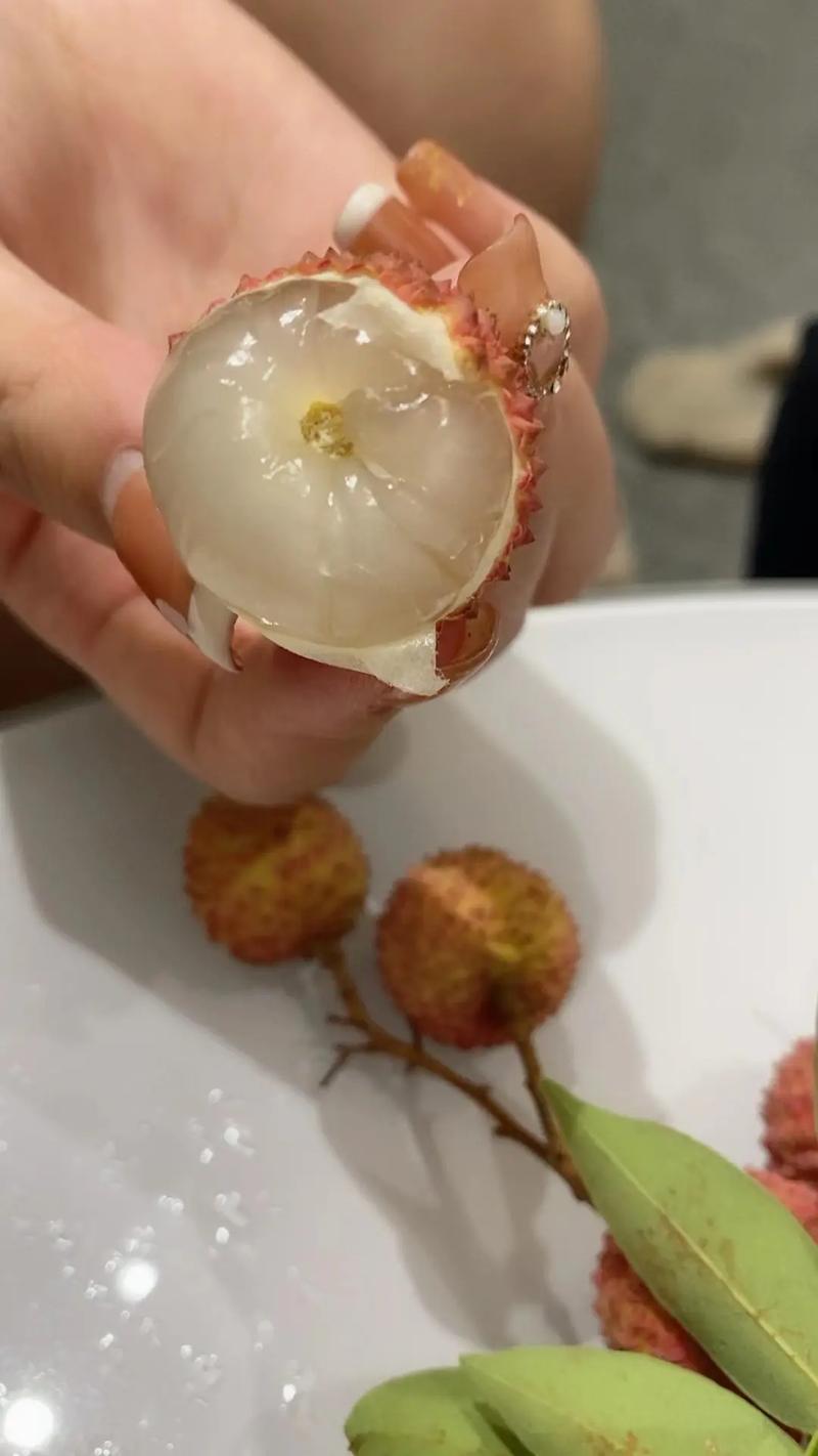 狗肉配酒,神仙不走,玉林配卖酒,佛祖心中有 第1张 狗肉配酒,神仙不走,玉林配卖酒,佛祖心中有 第1张
