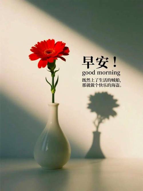 适合早安发朋友圈的心情说说  第1张