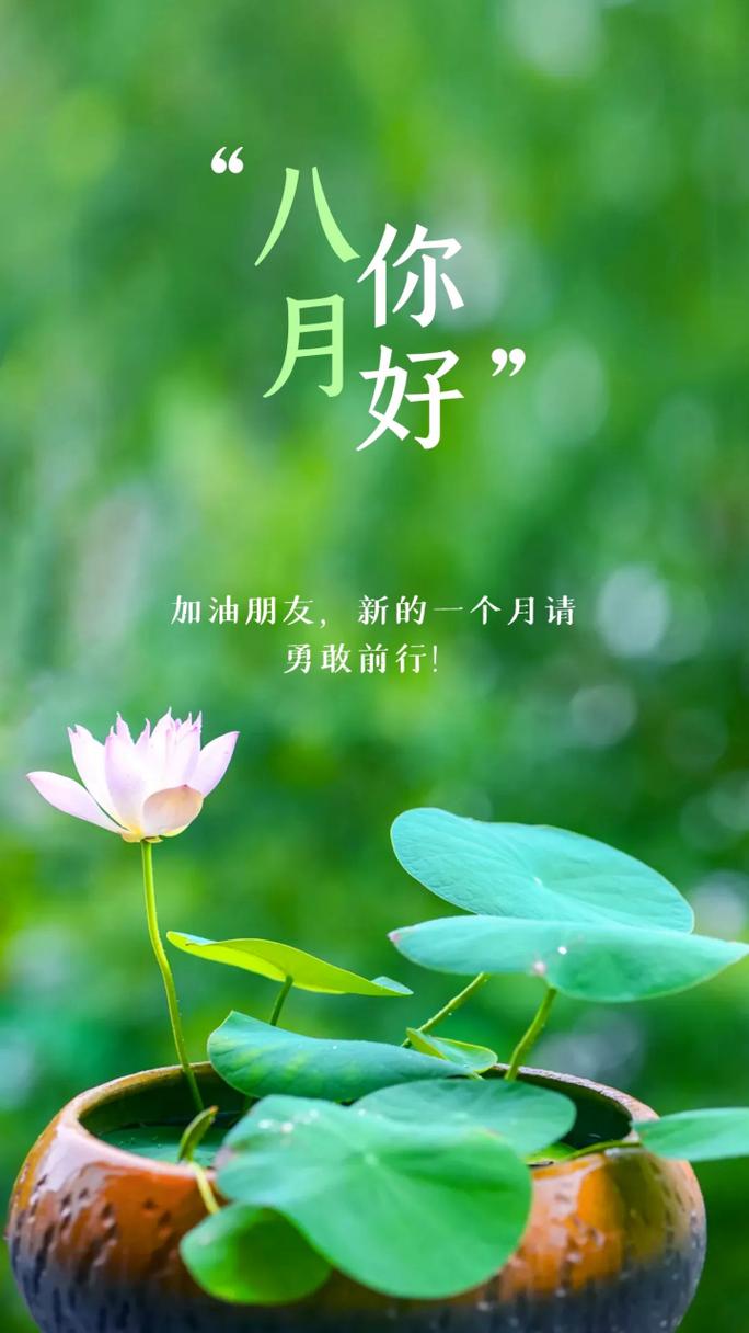 八月你好婊与说说八月你好的是婊婊  第1张