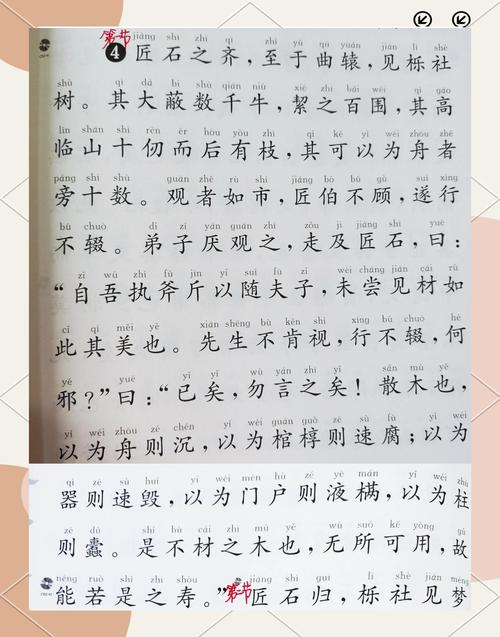 庄子《人间世》名句名段赏析  第1张