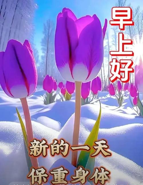 南方小年最新早上好问候语短句,漂亮的冬天温暖感动的早上好祝福语句子,腊月二十四早上好短语暖心图片 第1张 南方小年最新早上好问候语短句,漂亮的冬天温暖感动的早上好祝福语句子,腊月二十四早上好短语暖心图片 第1张