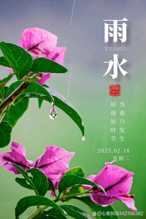 今日“雨水”:好雨知时令,朦胧见春意 第1张 今日“雨水”:好雨知时令,朦胧见春意 第1张