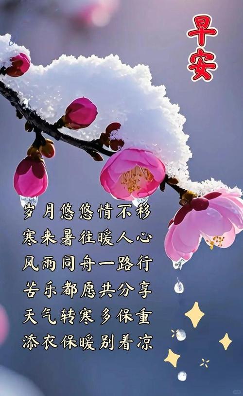冬日早安早上好祝福语向阳而生,努力向前 第1张 冬日早安早上好祝福语向阳而生,努力向前 第1张