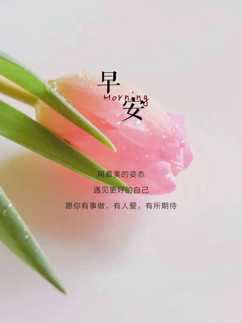 清透干净早安正能量智慧句子,自我鼓励,勇敢面对困难 第1张 清透干净早安正能量智慧句子,自我鼓励,勇敢面对困难 第1张