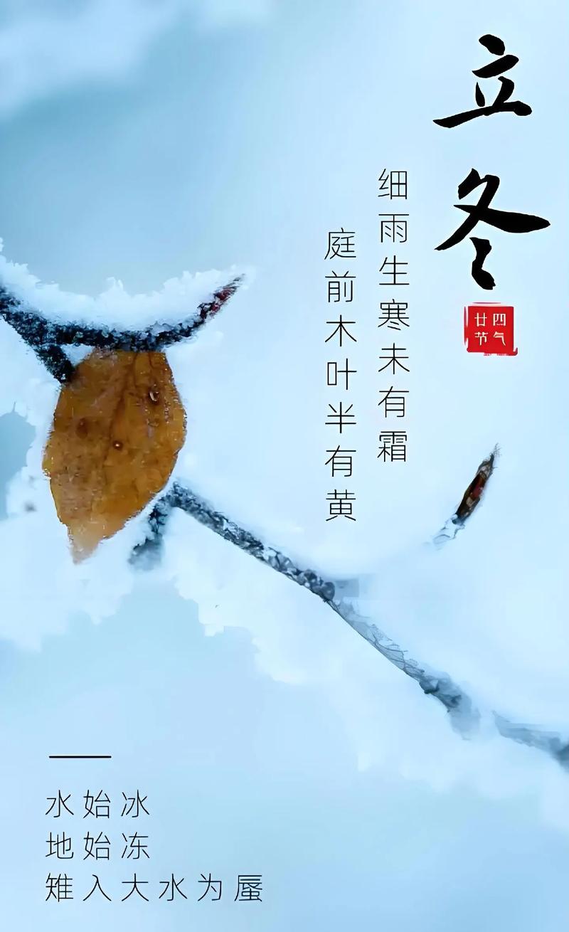 知岁一寒,又是一冬,愿时光淡淡,慢慢走,浅浅忆 第1张 知岁一寒,又是一冬,愿时光淡淡,慢慢走,浅浅忆 第1张