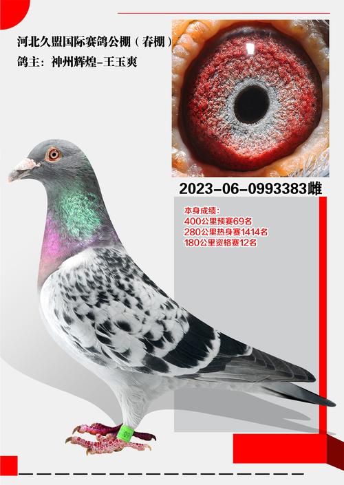 翻凹芬渗缔刘刚、扁座鼓爆丐鸽揍歉昆？  第1张