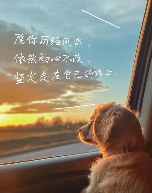 2020写给自己的优质句子,阳光温暖,适合发朋友圈 第1张 2020写给自己的优质句子,阳光温暖,适合发朋友圈 第1张