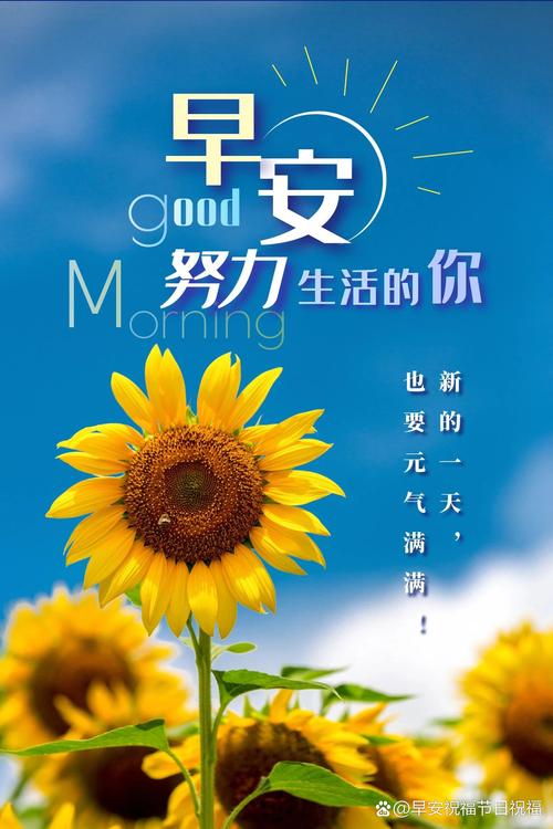 2024年最新早安心语正能量经典语录，迎接新一年的挑战！  第1张