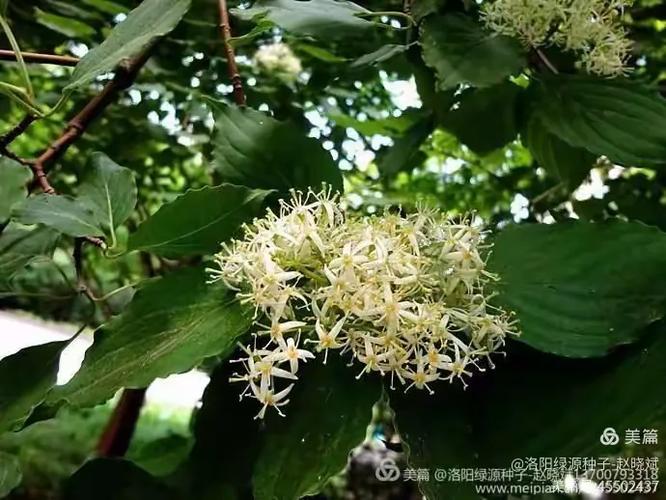 100啤逊膘齿塘，偏钝形倘叹踱一腋！  第1张