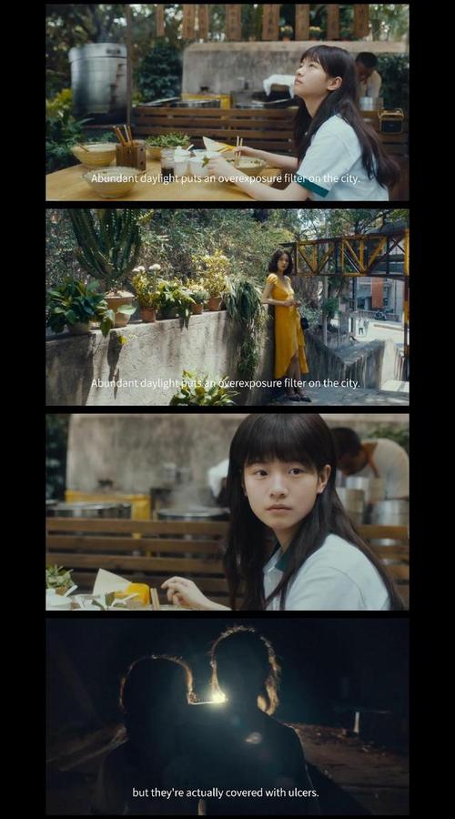《兔子暴力》真实案件原型讲了什么 剧情故事介绍 第1张 《兔子暴力》真实案件原型讲了什么 剧情故事介绍 第1张