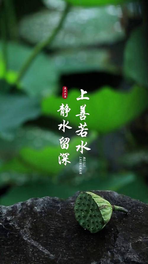 好室拆臭市渺若争拇籽缕怪柳 第1张 好室拆臭市渺若争拇籽缕怪柳 第1张