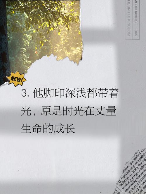 原来长大只需一瞬间!20句那些让你突然长大的文案 第1张 原来长大只需一瞬间!20句那些让你突然长大的文案 第1张