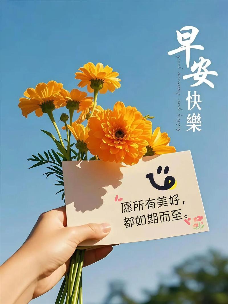 9月6日早安正能量温柔语录句子:每天要全力以赴的开心,愿每一个善良、可爱的你,都能被这个世界温柔以待! 第1张 9月6日早安正能量温柔语录句子:每天要全力以赴的开心,愿每一个善良、可爱的你,都能被这个世界温柔以待! 第1张