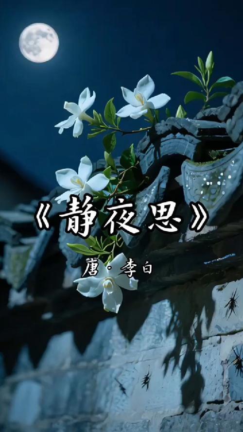 静夜思 | 你的心态,决定你的状态 第1张 静夜思 | 你的心态,决定你的状态 第1张