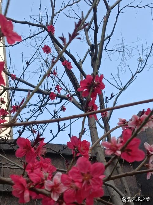 “馨颜春调肤养肤”如同春日里的一抹阳光，照亮了追求美丽与健康的旅人之路。  第1张