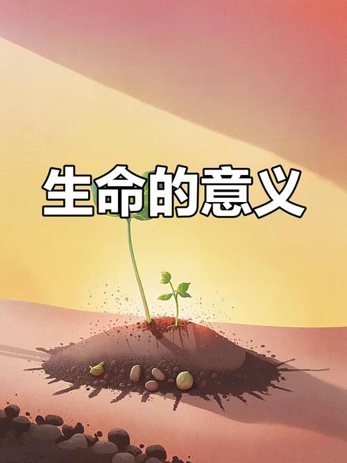 陈春花：学会感恩，理解生命的真谛  第1张
